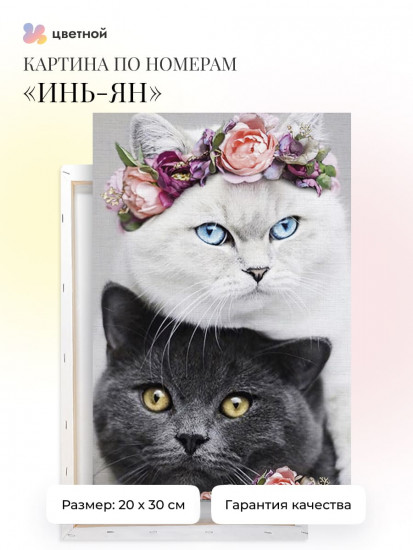 Инь-Ян