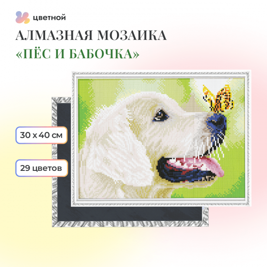 Пёс и бабочка