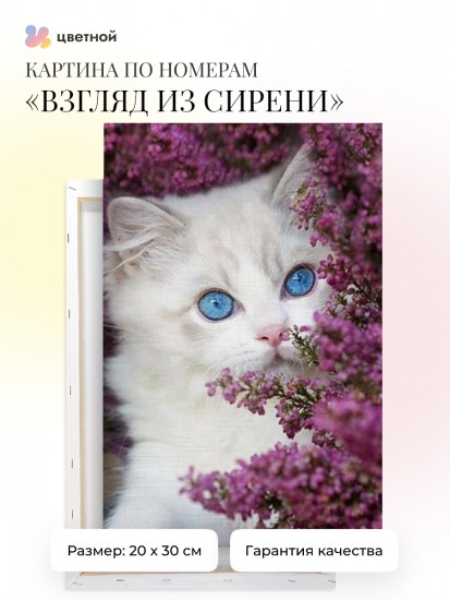Взгляд из сирени