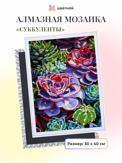 Суккуленты