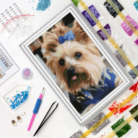 Пушистая модница