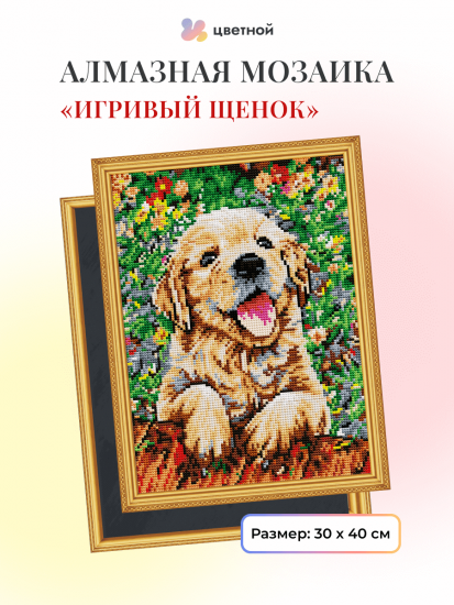 Игривый щенок