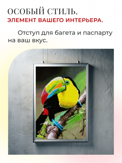 Радужный тукан
