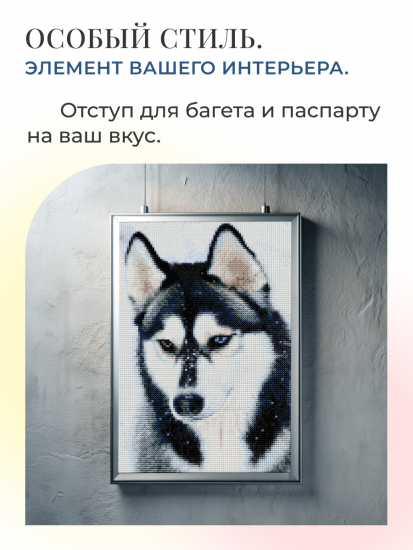 Удивительный хаски