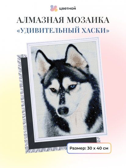 Удивительный хаски