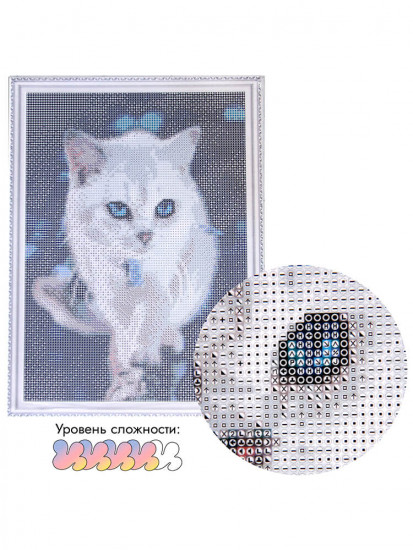 Голубоглазый пушистик