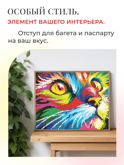 Радужный кот