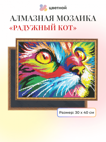 Радужный кот