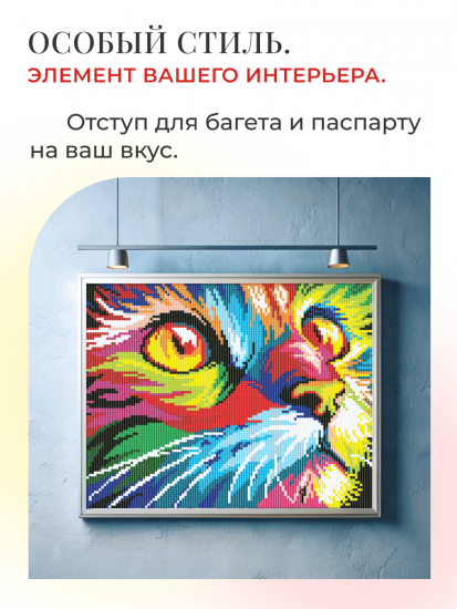 Радужный кот