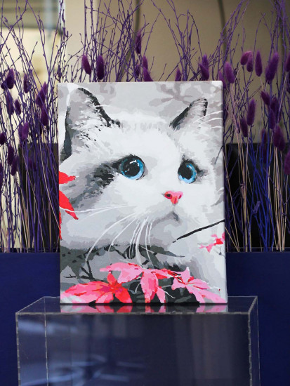 Голубоглазый котенок