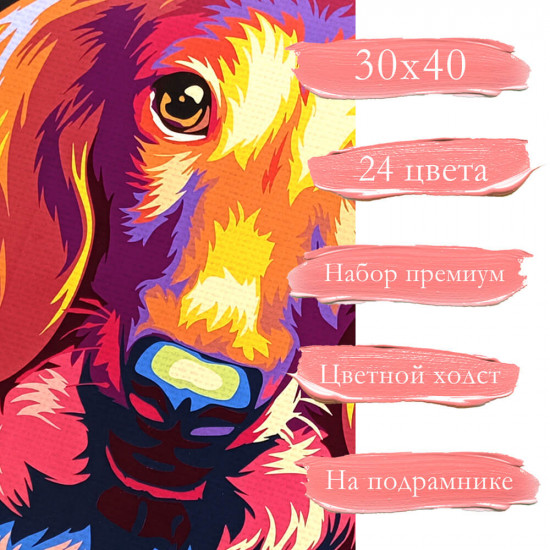 Глазами таксы