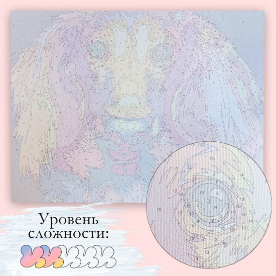 Глазами таксы