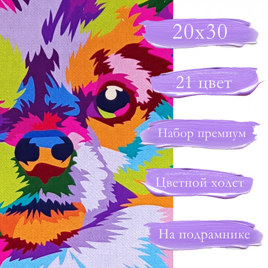 Глазами чихуахуа
