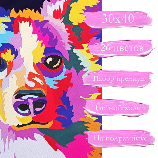 Глазами корги
