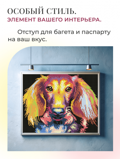 Глазами таксы