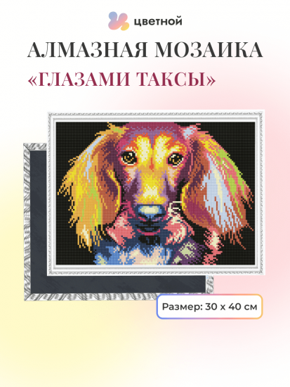 Глазами таксы