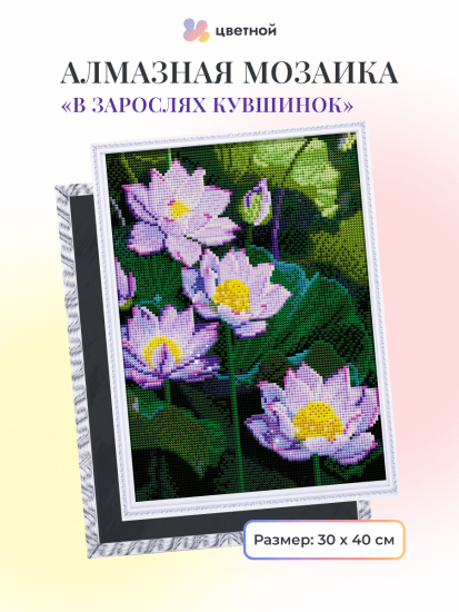 В зарослях кувшинок